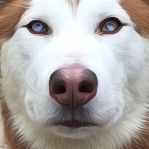 Meet your Posher, Tong